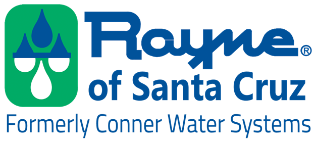 Rayne Logo